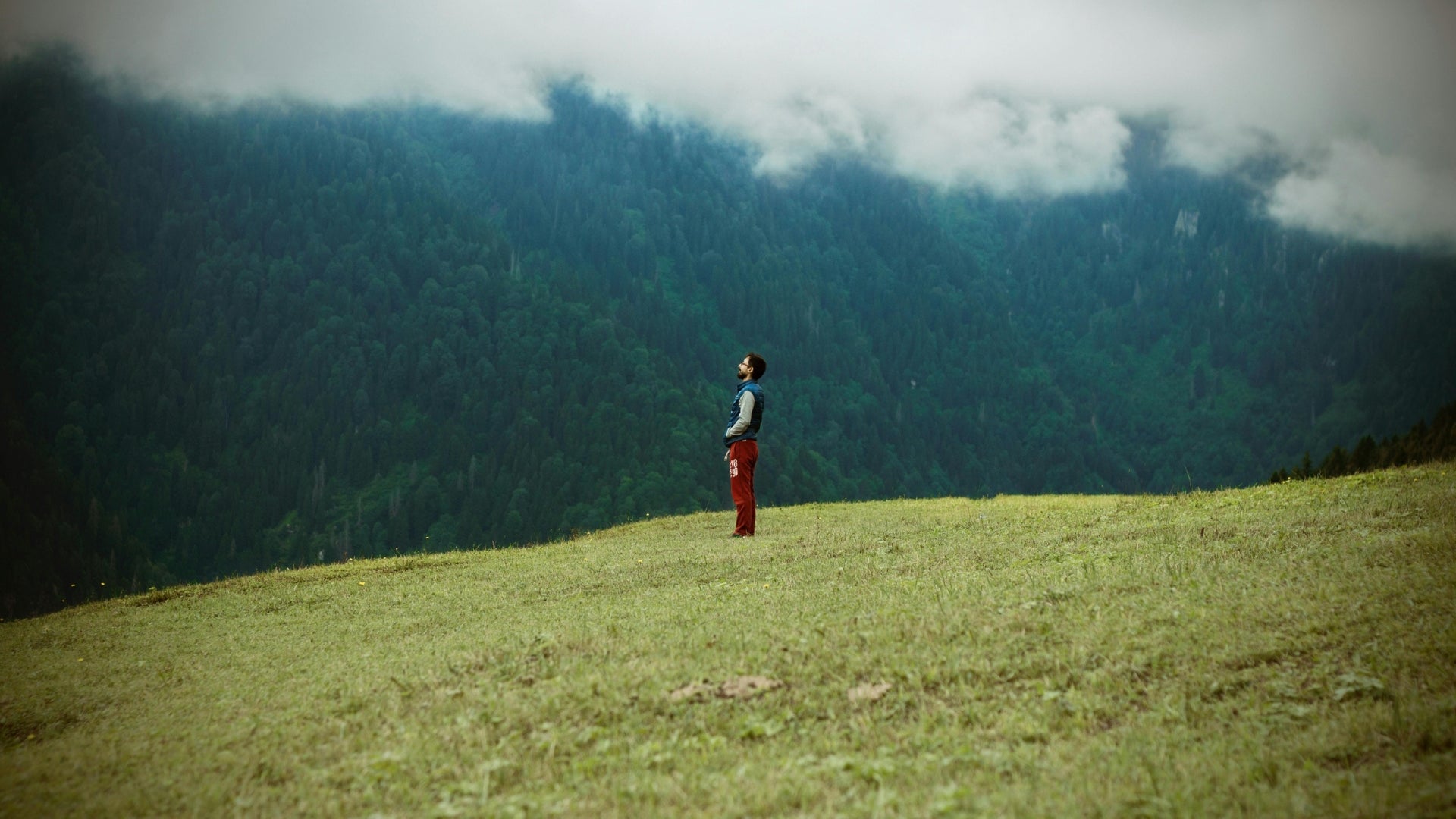 solo hiker standing on green mountain meadow with forest background