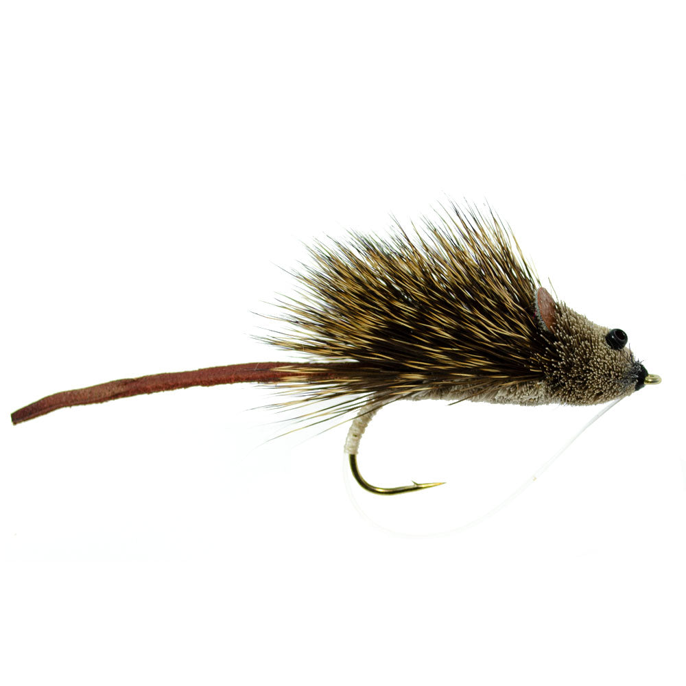 Bass Bug Collection 12 Fly Fishing Flies Popper Frog