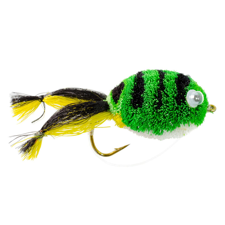 Bass Bug Collection 12 Fly Fishing Flies Popper Frog