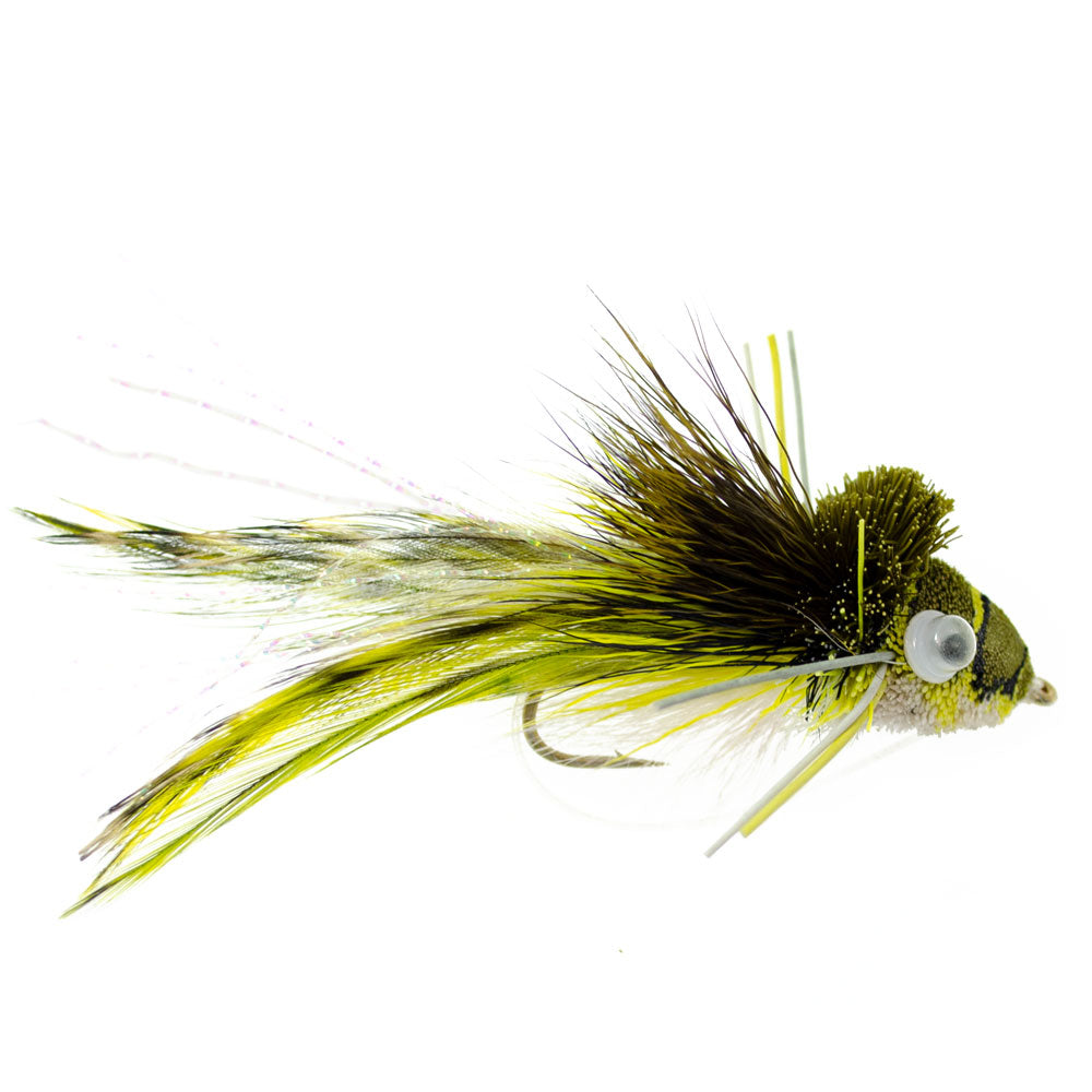 Bass Bug Collection 12 Fly Fishing Flies Popper Frog