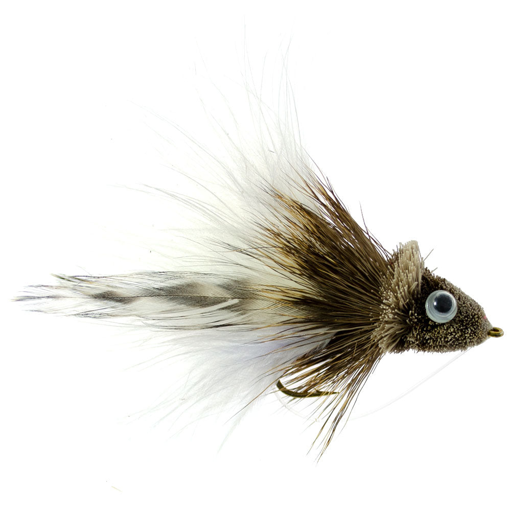 Bass Bug Collection 12 Fly Fishing Flies Popper Frog